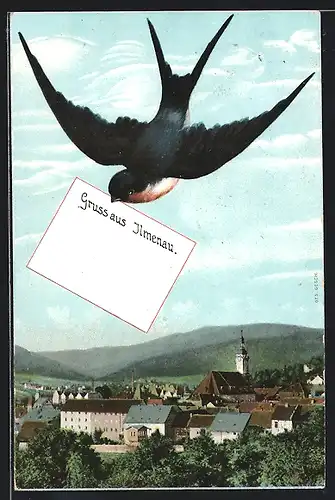 AK Ilmenau, Totale mit Kirche, Vogel mit Grusskarte