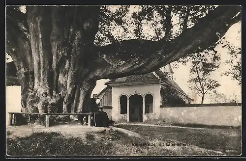 AK Bremgarten, Riesenlinde mit Einsiedler