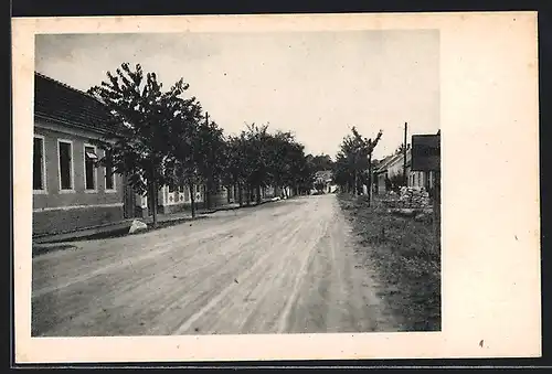 AK Trautmannsdorf an der Leitha, Strassenpartie