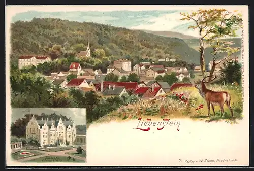 Lithographie Liebenstein, Schloss Altenstein, Ortsansicht aus der Vogelschau, Hirsch