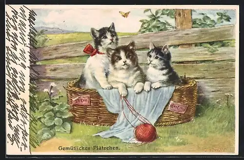 Künstler-AK Kränzle: Gemütliches Plätzchen, drei Katzen in einem Korb, Wollknäuel