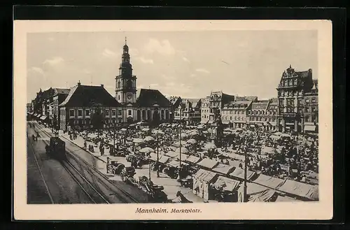 AK Mannheim, Strassenbahn am Marktplatz