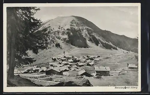 AK Berwang i. Tirol, Teilansicht mit Hönig im Schnee