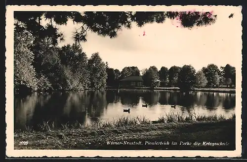 AK Wiener Neustadt, Pionierteich im Parke der Kriegsschule