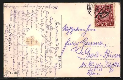 AK Wr. Neustadt, Gesamtansicht