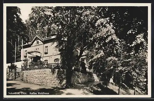 AK Schmölln /Thür., Cafe Waldhaus