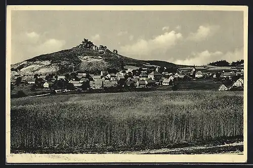 AK Flossenbürg /Oberpf., Ortsansicht mit Burgruine