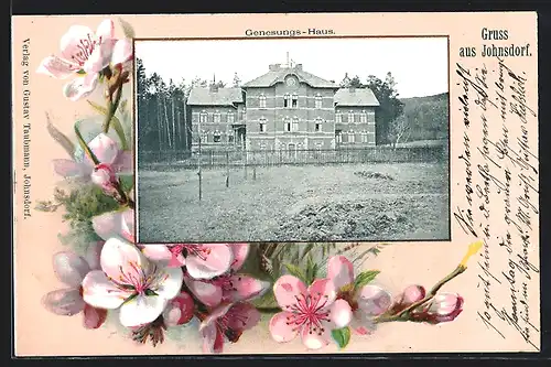 Passepartout-Lithographie Johnsdorf, Genesungs-Haus, Obstblüten