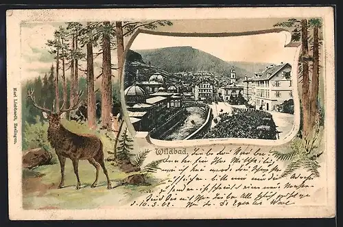 Passepartout-Lithographie Bad Wildbad, Hirsch auf der Waldlichtung, Teilansicht des Kurortes