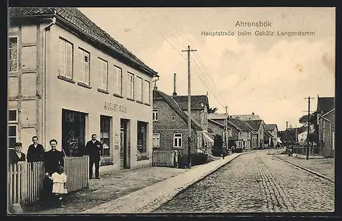 AK Ahrensbök, Hauptstrasse beim Gehölz Langendamm