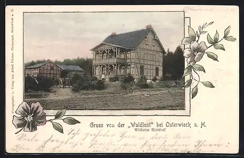 AK Osterwieck a. H., Gasthaus Waldlust von Wilhelm Rietdorf