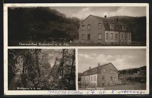 AK Bodendorf a. d. Ahr, Waldpartie und Pension Schöler