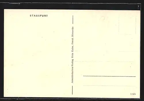 AK Stassfurt, Steinstrasse mit Gasthaus Stadtschänke und Geschäften