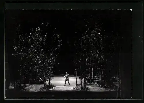 AK Bayreuth, Festspiele 1977, Siegfried II. Akt im Wald