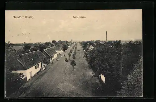 AK Neudorf /Harz, Langenberg, Strassenpartie aus der Vogelschau