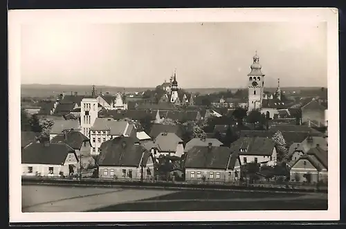 AK Novy Bydzov, Celkovy pohled