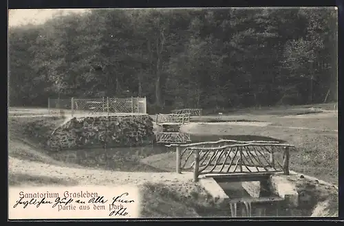 AK Grasleben, Sanatorium, Park-Partie mit Brücken