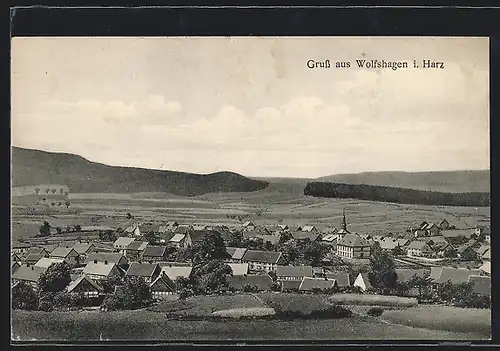 AK Wolfshagen /Harz, Gesamtansicht aus der Vogelschau