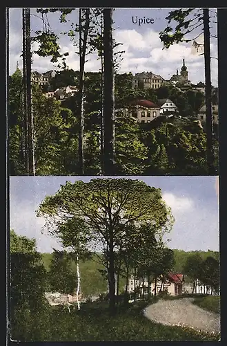 AK Upice, Blick durch die Bäume auf den Ort, Strasse in den Ort hineinführend