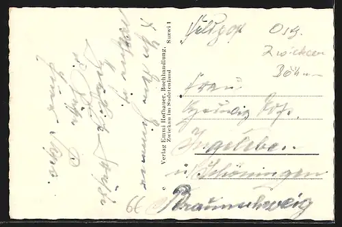 AK Zwickau i.B. / Cvikov, Ansicht vom Sanatorium Martinstal