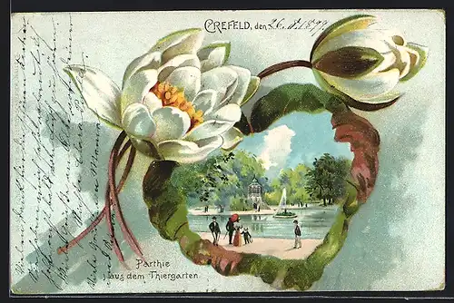 Passepartout-Lithographie Krefeld, Partie aus dem Tiergarten