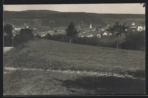 Foto-AK Jestetten, Ortsansicht mit Umgebung