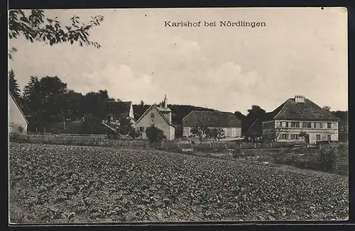 AK Karlshof b. Nördlingen, Ortsansicht mit Feldern