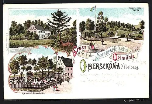 Lithographie Oberschöna b. Freiberg, Gasthof Oelmühle, Garten mit Concerthalle