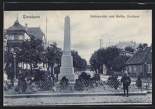 AK Elmshorn, Strasse Kaltenweide und Moltke Denkmal