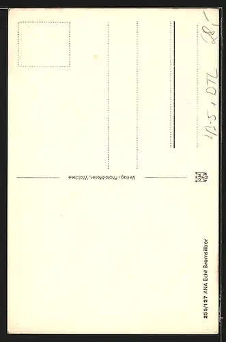 AK Waldsee /Württb., Historische Volksfasnacht, Kostüme Federle, Schrättele, Narro und Faselhannes