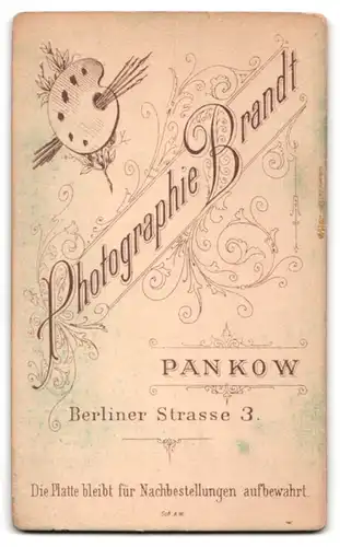 Fotografie Brandt, Pankow, Berliner Str. 3, Junge hübsche brünette Frau mit Locken im gestreiften Kleid