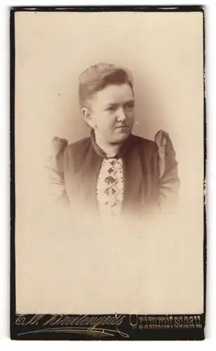 Fotografie C. W. Breitengross, Crimmitschau, Leipzigerstrasse, Elegante Dame mit verkniffenem Lächeln u. Hochsteckfrisur