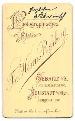 Fotografie Fr. Herm. Rossberg, Sebnitz, Böhmischestrasse, Elegante gutbürgerliche Dame mit freundlichem Lächeln