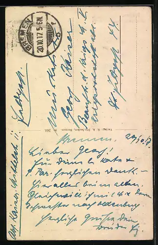 AK Bremen, Bürgerpark mit Aussichtsturm