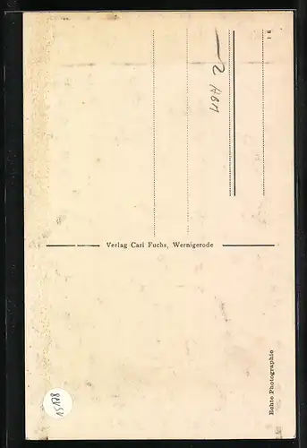 Foto-AK Ottofelsen bei Wernigerode