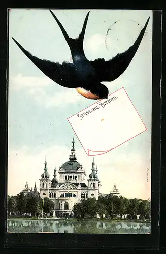 AK Bremen, Schloss mit Schwalbe