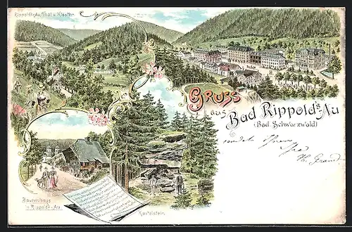 Lithographie Bad Rippoldsau i. Bad. Schwarzwald, Totalansicht aus der Vogelschau, Bauernhaus und Kastelstein