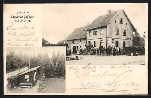 AK Torfhaus /Harz, Partie an der Försterei Torfhaus