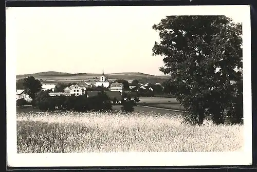 AK Bystré v Orl horách, Panorama