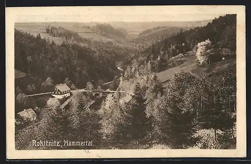 AK Rokitnitz / Rokytnice v Orlickych Horach-Hammertal, Haus am Bach