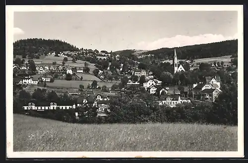 AK Schumburg a. d. Desse, Feldpartie mit Blick zum Ort