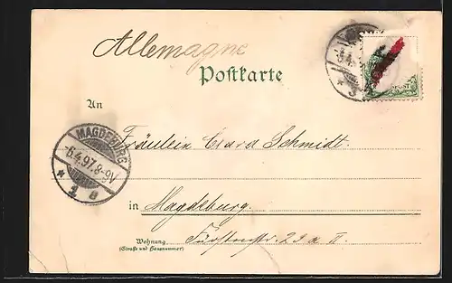 Lithographie Erfurt, Haus zum breiten Herd, Dom, Severikirche