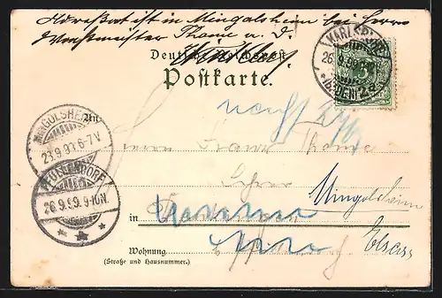 Lithographie Karlsruhe, Erbgrossherzoglicher Palais