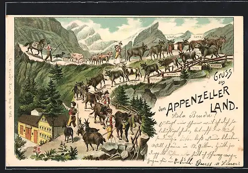 Lithographie Alpengrenzland, Alp-Fahrt, Sentum, Rinderabtrieb