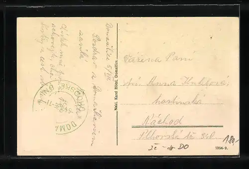 AK Domazlice, Celkový pohled