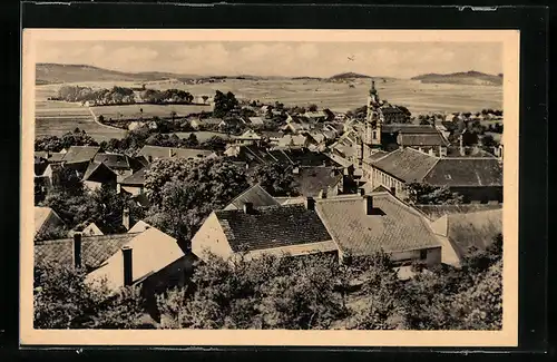 AK Nepomuk, Ortsansicht mit Kirche