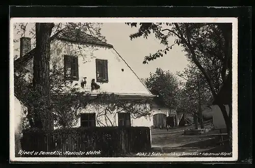 AK Domazlice, Kozinuv statek