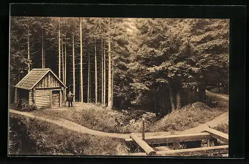 AK Altenau /Harz, Partie am Dammgraben beim Silberbrunnen