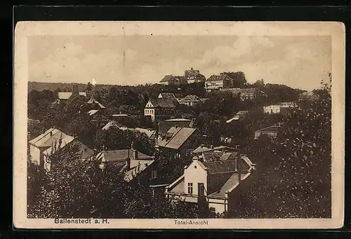 AK Ballenstedt a. H., Totalansicht