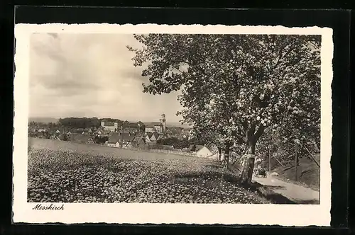 AK Messkirch, Teilansicht mit Kirche